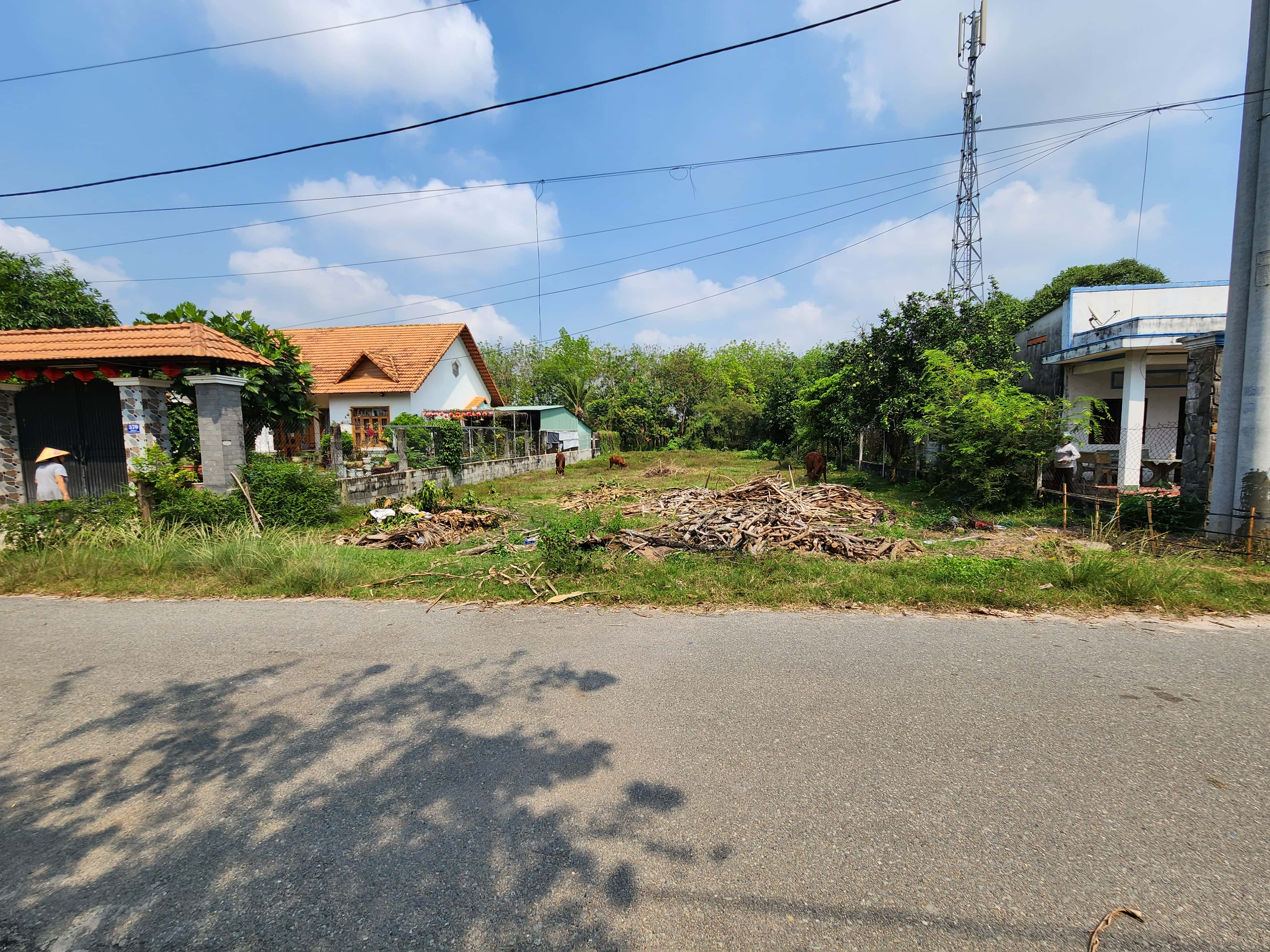 CC237 Đất Củ Chi làm nhà vườn 800m2 có 300m thổ cư xã Phạm Văn Cội gần khu nông nghiệp công nghệ cao
